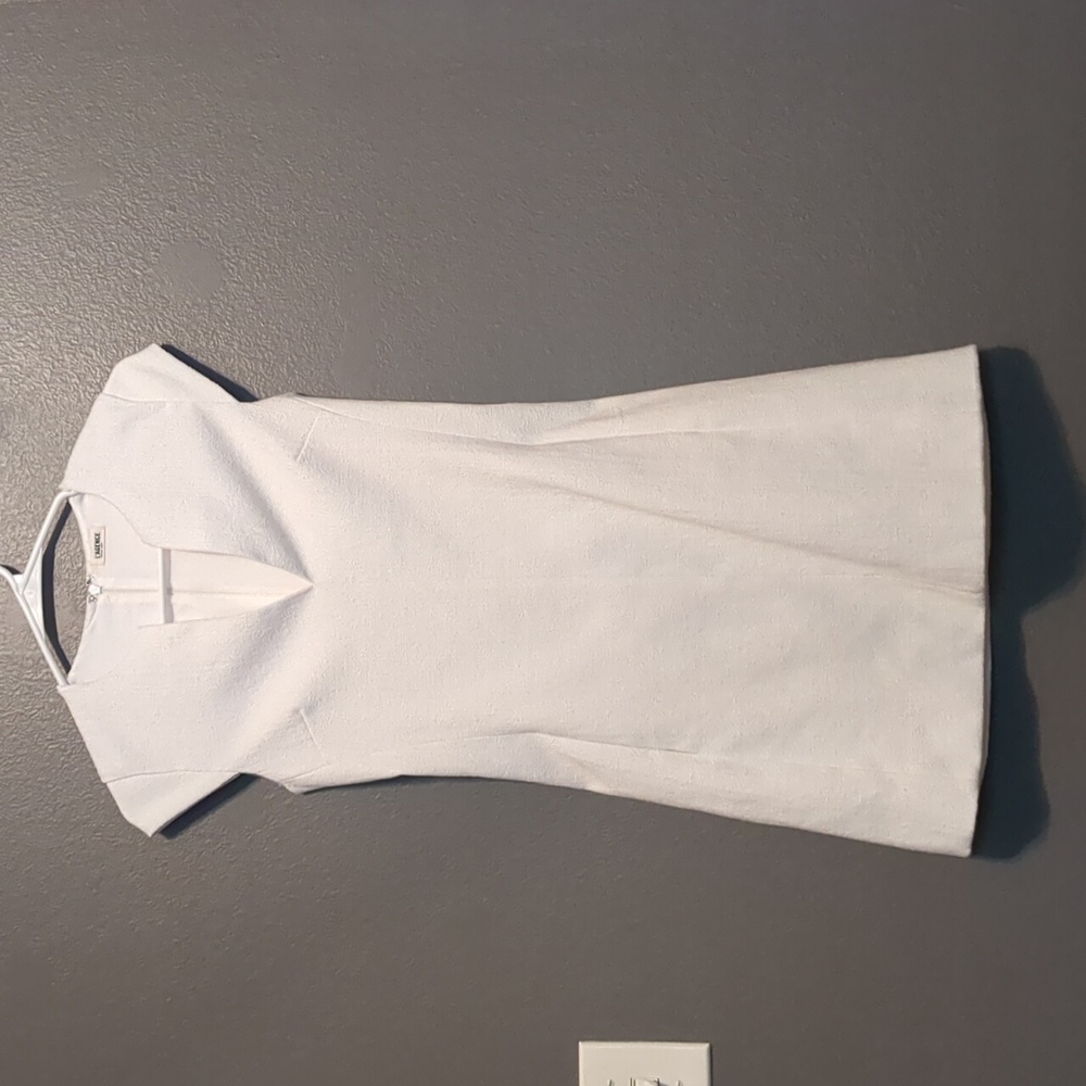 Professional Mini Dress
